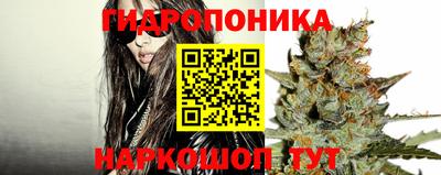 спайс Будённовск