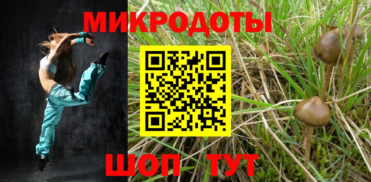 Псилоцибиновые грибы Psilocybe Малоярославец