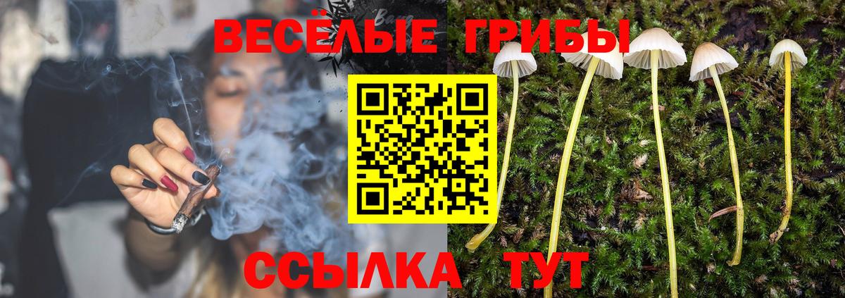 Псилоцибиновые грибы Psilocybine cubensis  Вход с VPN  Псилоцибиновые грибы Psilocybine cubensis  Малоярославец 